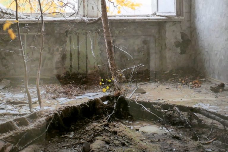 McMillans Chernobyl A2 Potpourri (106)