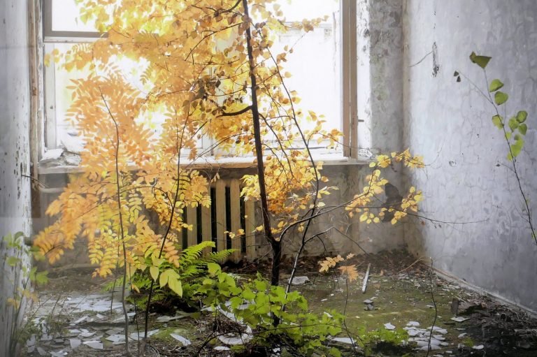 McMillans Chernobyl A2 Potpourri (107)