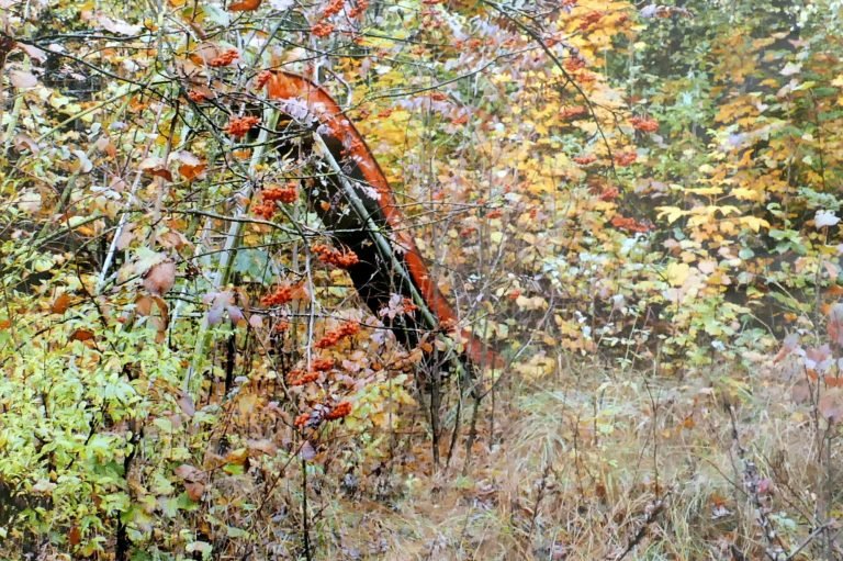 McMillans Chernobyl A2 Potpourri (123)