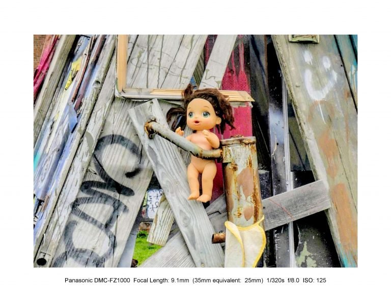 wp slideshow (40)