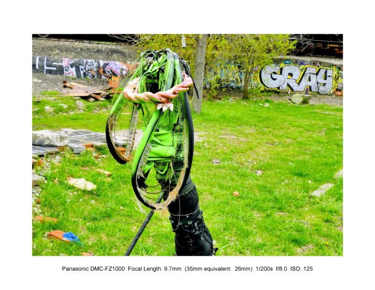 wp slideshow (6)